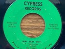 THE TORKAYS: Why Baby Why 45 Cypress Florida garage soul MP3 hear