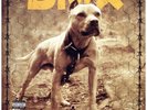 DMX - Grand Champ '03 2xLP US ORG EX/EX+