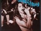 SOUNDGARDEN: screaming life SUB POP 12