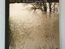 BON IVER - FOR EMMA, FOREVER AGO + INSERT - EXCELLENT