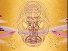 Devendra Banhart What Will Be
