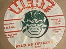 Mary Ann Fisher Put On My Shoes / Wild As You Can Be Jukebox Jukebox Jam