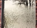 Bon Iver - For Emma, Forever Ago - 2008 Original Pressing - 12” Vinyl LP - Ex Co