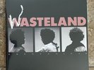 Brent Faiyaz Wasteland Vinyl BRAND NEW SEALED OFFICIAL LOST KIDS RELEASE