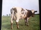 PINK FLOYD atom heart mother HARVEST LP 1970 - FIRST PRESS A1/B1 - NO EMI BOX EX