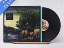Fleetwood Mac - Tango In The Night - LP Vinyl Record - EX/VG+