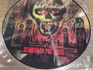 Slayer - Seasons In the Abyss picture disc, 2006 Near Mint vinyl