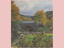 Slapp Happy : Sort Of VINYL 12