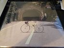 The Backseat Lovers When We Were Friends - Exclusive Translucent Pink Vinyl LP