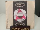 Elmer Gantry's Velvet Opera Flames/ What's The Point Of Leaving Promo 45 7