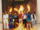 Lynyrd Skynyrd – Street Survivors 1977 Flames Gatefold  Vinyl LP  MCA 3029