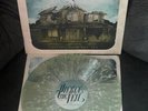 Pierce The Veil Collide with the Sky Coke Bottle Green & Bone Splatter Vinyl