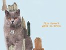 BRIAN JONESTOWN MASSACRE - FIRE DOESN'T GROW ON TREES NEW VINYL