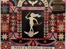 THE DECEMBERISTS - What a Terrible World 2xLP Teal Vinyl Newbury Comics EX