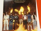 Lynyrd Skynyrd - Street Survivors LP MCA-3029 1977 Pressing Flames w/ 2 Inserts