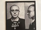 Logic YSIV Vinyl - Young Sinatra IV Vinyl Logic