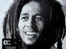 Bob Marley & The Wailers Kaya Vinyl LP New Sealed