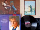 DAVID CASSIDY (ex-Partridge Family) Romance;Rock Me Baby;Dreams 3 VINYL LP LOT