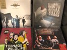 4 Vinyl Records - Ocean Colour Scene, Ash, Stereophonics & Muse