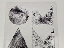 Of Monsters And Men - Beneath The Skin Clear Vinyl 2015