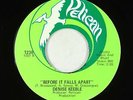 Crossover Soul/Funk 45 - Denise Keeble - Before It Falls Apart - Pelican - VG++