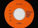Funk Psych 45 - B.W. Cat - Cry/You Can Make It Anyway - Lemco - VG+