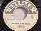 SILAS HOGAN-EXCELLO 2241-I'M GOIN' IN THE VALLEY/LONESOME LA LA=LOUISIANA BLUES