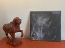 ANIMAL COLLECTIVE - Spirit They're Gone, Spirit They've Vanished DMM REMASTERED 