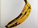 Velvet Underground and Nico by The Velvet Underground - (OPEN)