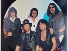 DEEP PURPLE Perfect Strangers - Picture Disk – 1984 - Vinyl LP