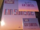 Paul Weller On Sunset 12