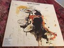peter doherty Grace/Wastelands Vinyl 1st press Europe 2009 Mint - Rare