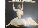 SWAMP DOGG VINYL RECORD LOT- 2 LPs (Rat On  and Love, Loss and Auto-Tune)