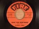 Elmore James  Shake Your Moneymaker/Look On Yonder Wall  Blues 1962 Fire