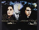 ECHO & THE BUNNYMEN: people are strange WEA 12