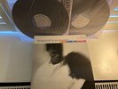 ART BLAKEY AND THE JAZZ MESSENGERS-LIKE SOMEONE IN LOVE- MUSIC MATTERS LP- NM
