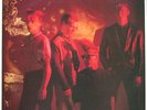 The Sting-Rays - Dinosaurs (LP, Album)