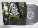 Dead Meadow ‎– Old Growth, 2008 2x LP, Matador ‎– OLE 750-1