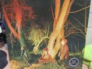 ECHO & THE BUNNYMEN RECORD 