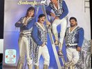GRUPO BRONCO / SALVAJE Y TIERNO / vinyl record 33 rpm ARIOLA