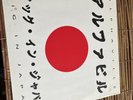 Alphaville Big In Japan 1992 A.D. WEA 9031-75154-0 ,12