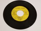 The Jesters, The Big T/What'd I Say, 60s rock 45, VG+, U.S.