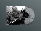 Timber Timbre 