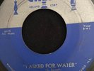 RARE HOWLIN’ WOLF 45 I ASKED FOR WATER/SO GLAD. CHESS 1632.  Chicago Blues  EX