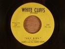 James & The James Gang Hey Girl/Sorrow  RARE  Garage 1966 White Cliffs Records