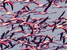 Deftones - Gore - Limited Edition - VINYL - NEW SMALL CREASES