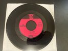 RARE 45 Record THE PRIMITIVES You Said/How Do You Feel PYE RECORDS-LOU REED 1965