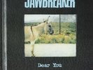 Dear You [Sky Blue LP]