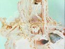 Pale Saints In Ribbons [30th Anniversary] Vinyl New