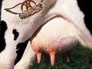 Get A Grip [2 LP], Aerosmith, Good